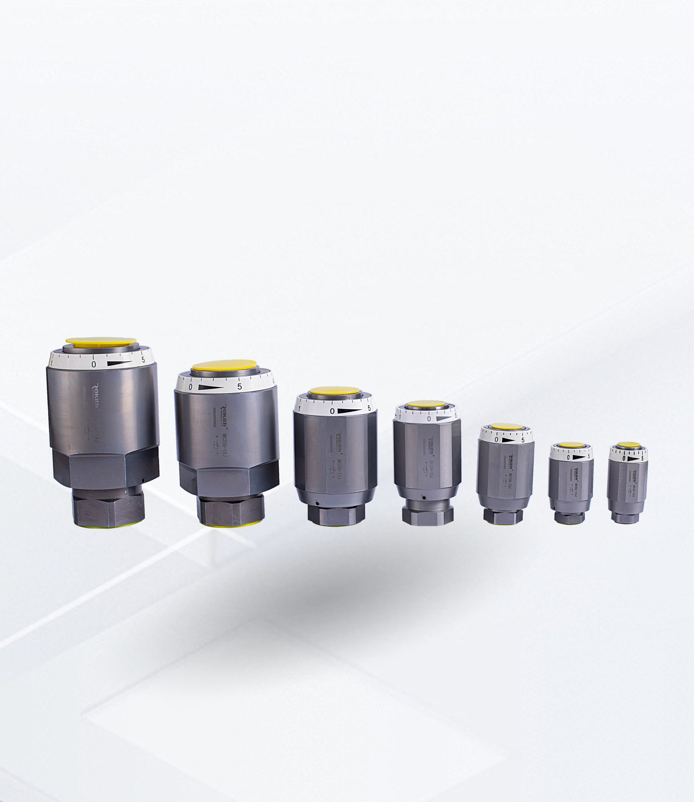 MGMK restrictive valve and check valve