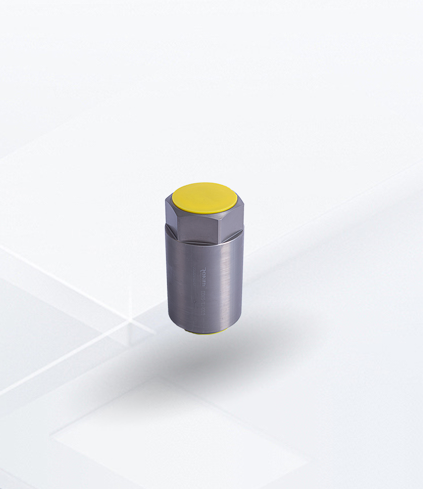 s -single check valve